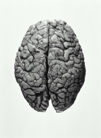 人工智能科技 人工智能科技