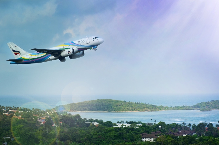 飛機草地 飛機草地