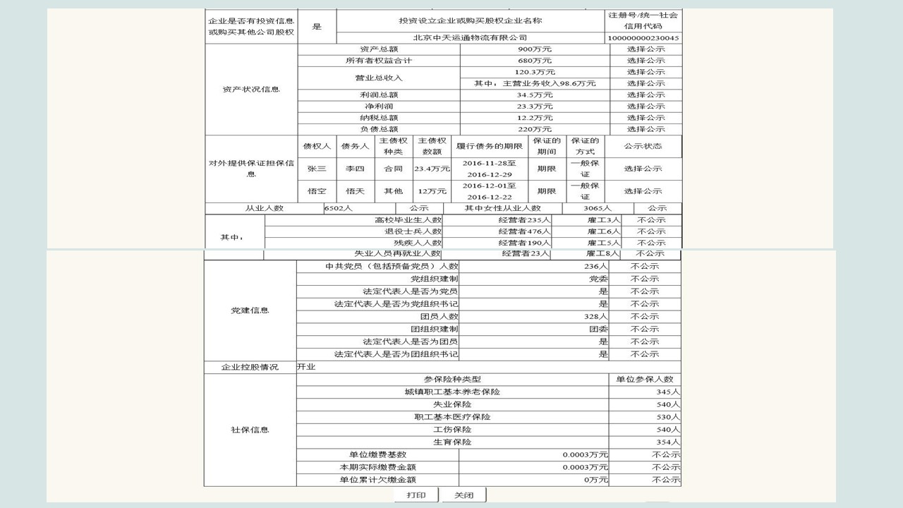 企業(yè)年報圖片22
